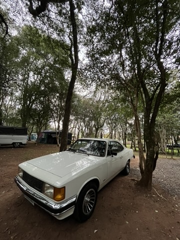 Imagem responsiva de teste